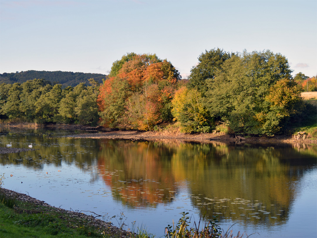 Reflections in the lake