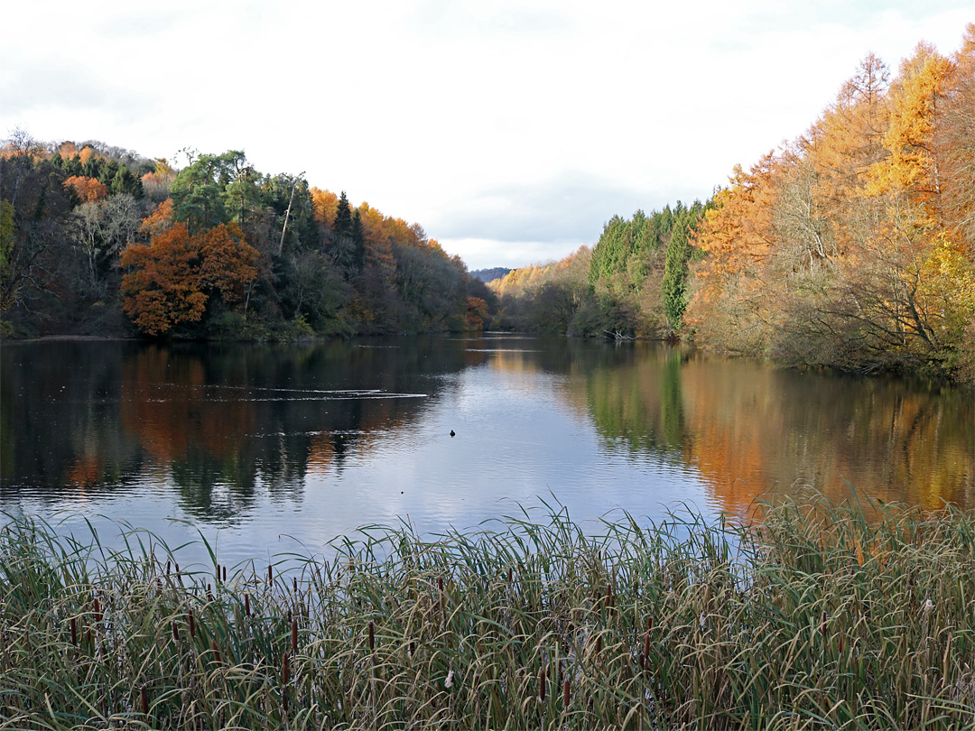 Parkmill Pond