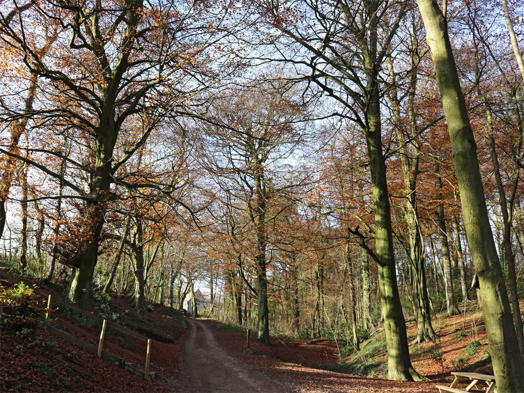 Road near the carpark