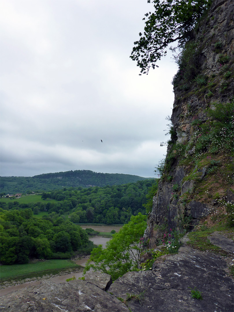 Cliff and ledge