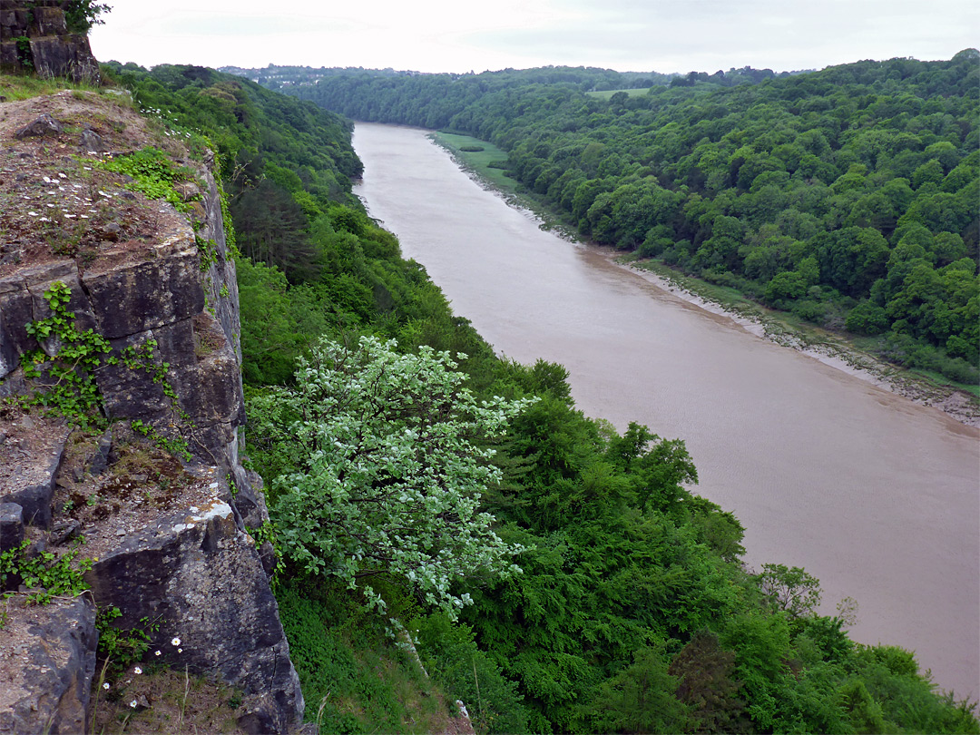 Vertical cliff