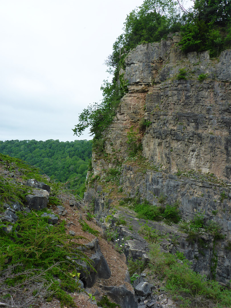 Cliff face