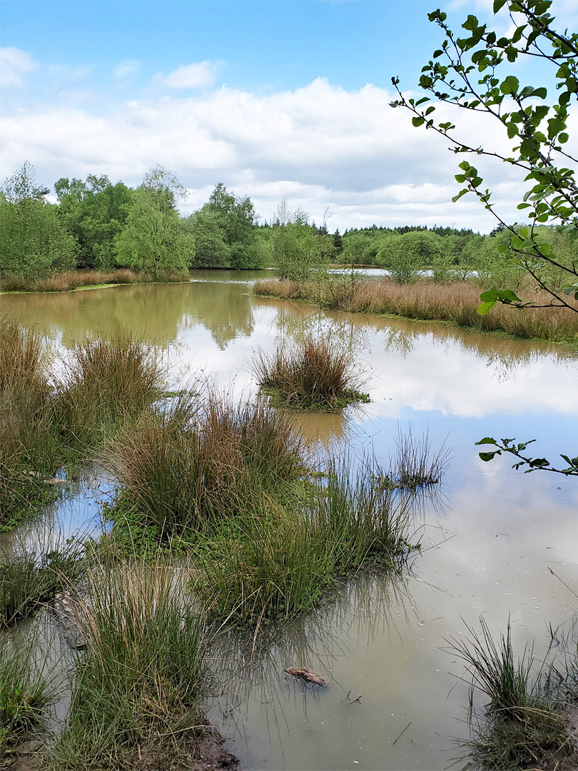 Muddy water