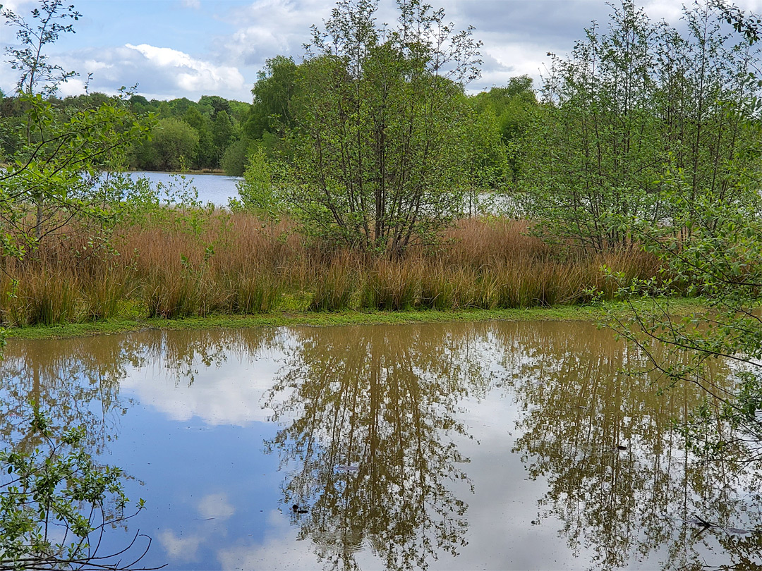 Reflections on the lake