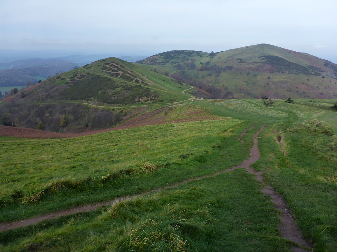 Sugarloaf Hill