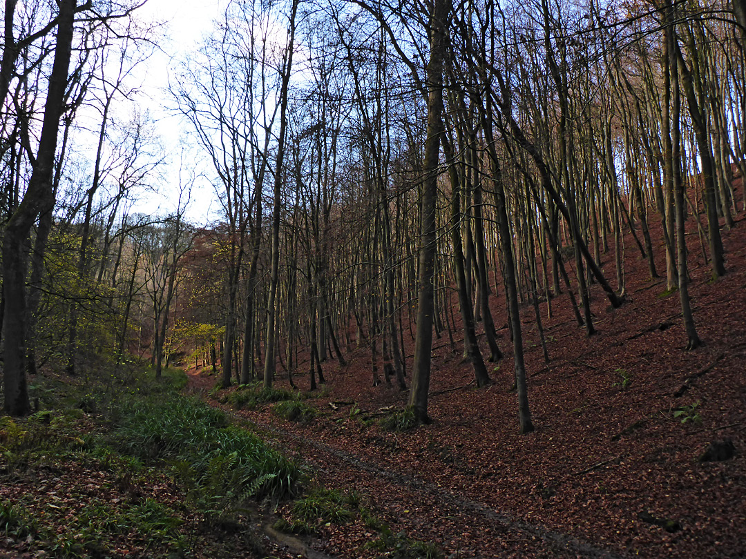 Track near the east entrance