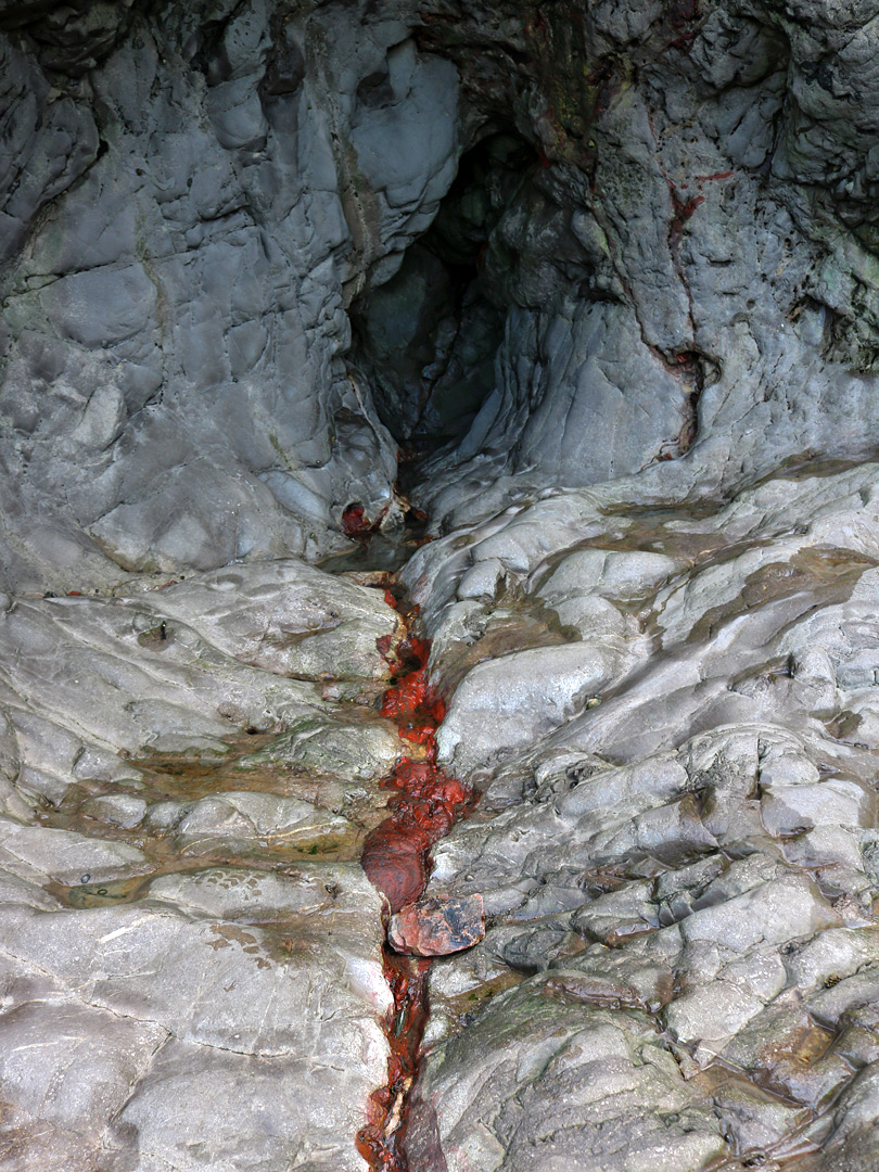 Red vein