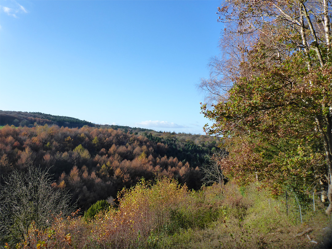 Edge of Wrington Warren