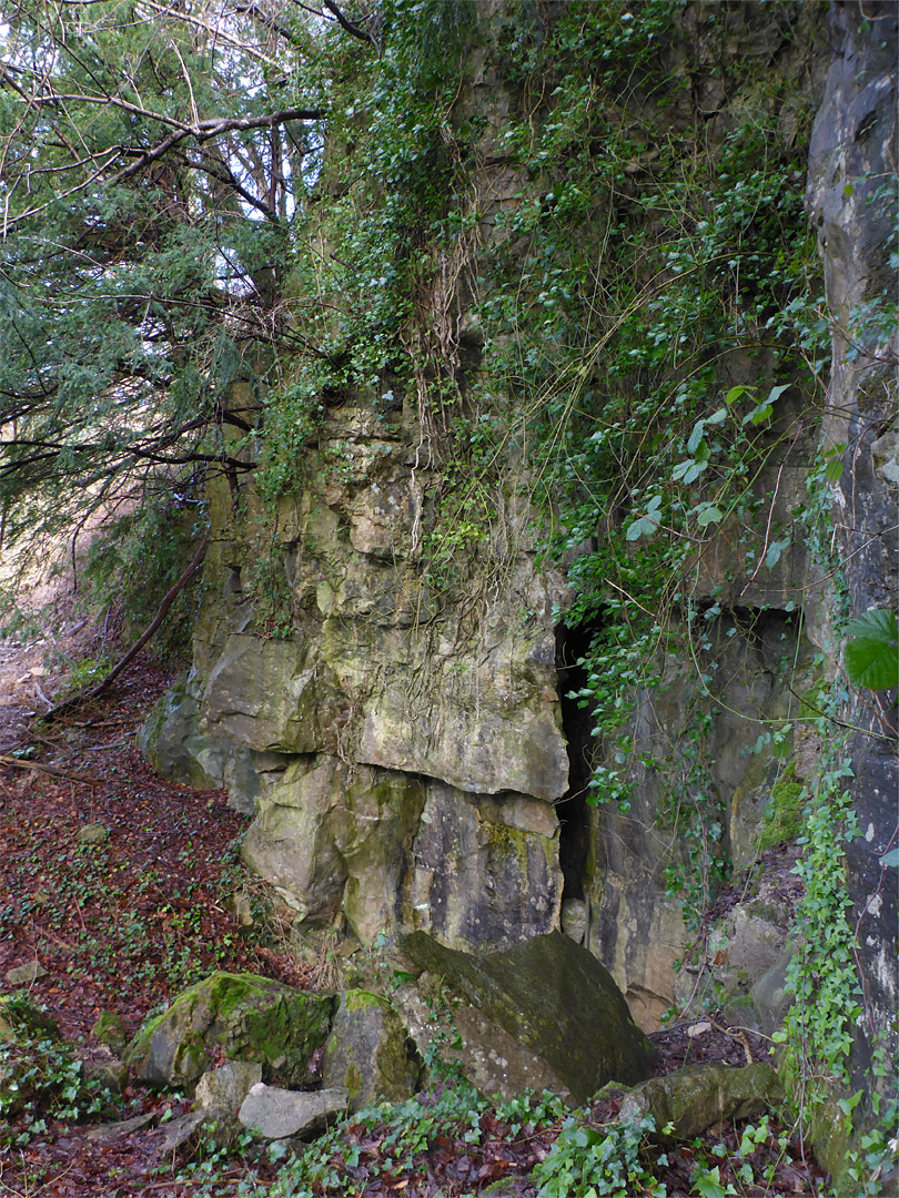 Cave entrance