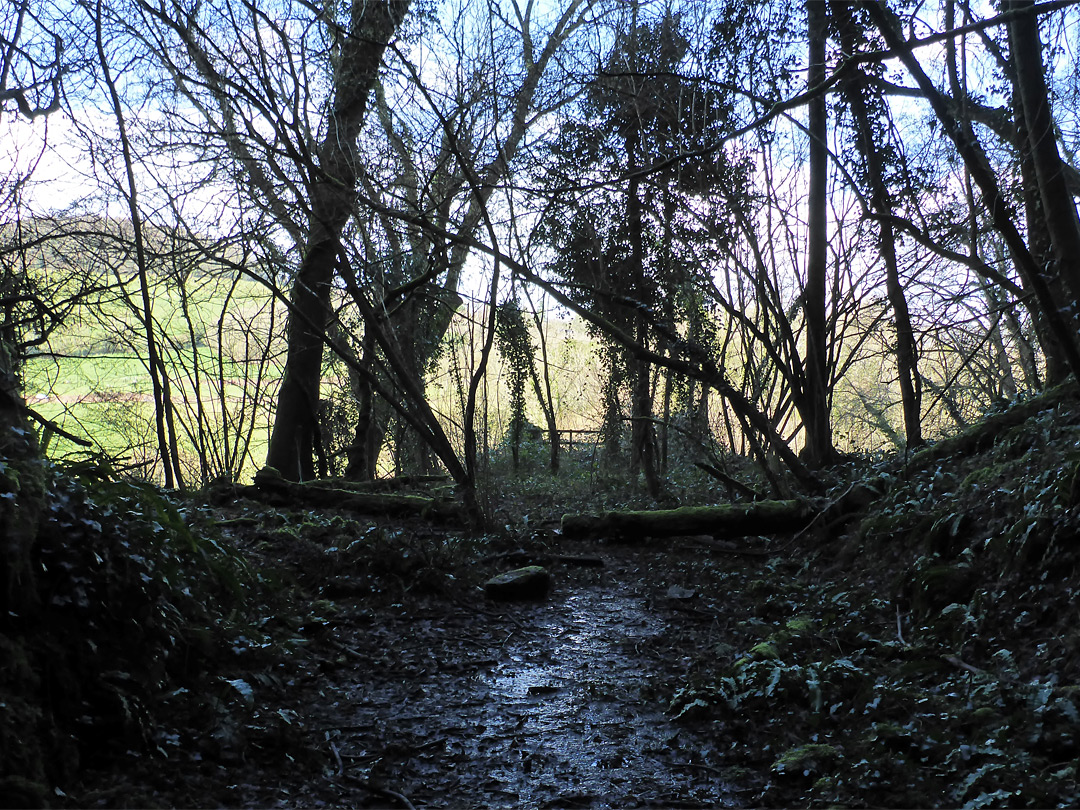 Site of railway bridge