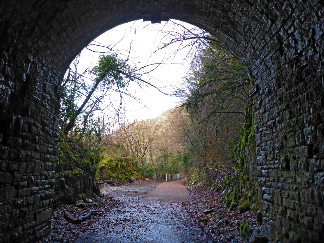 Inside the tunnel