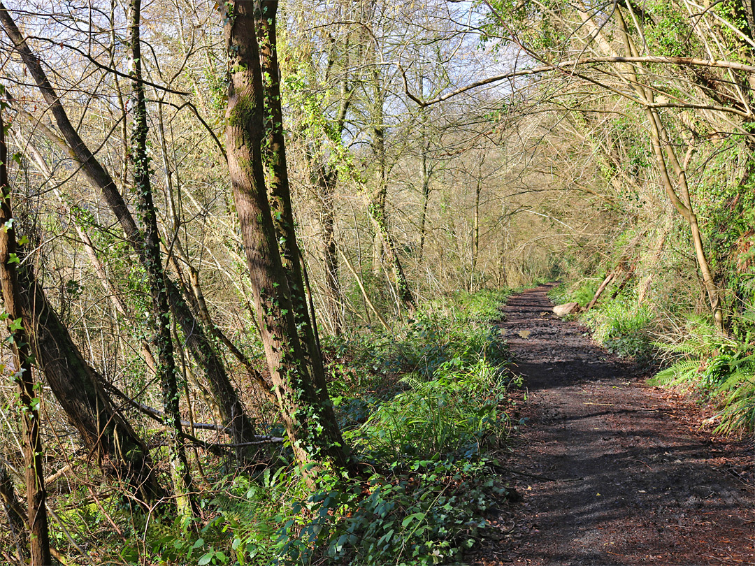 Old railway