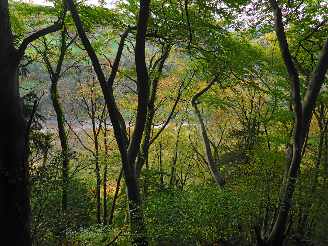 River view