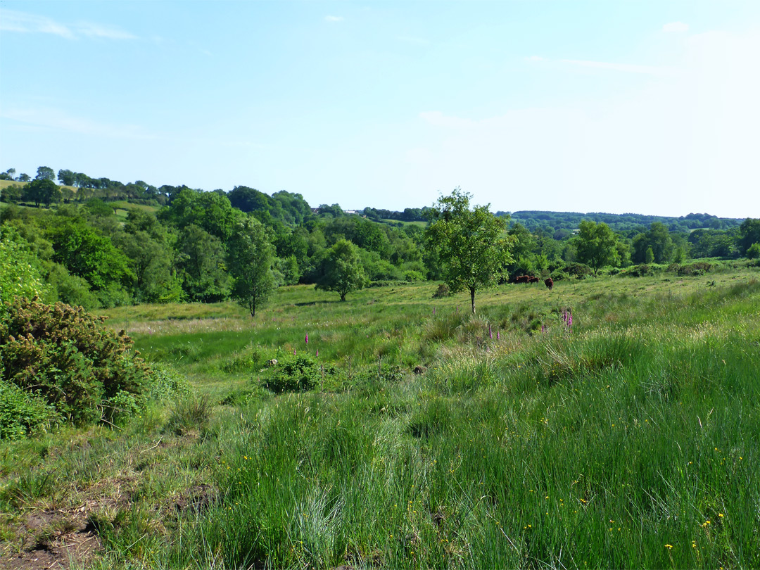 View near the entrance