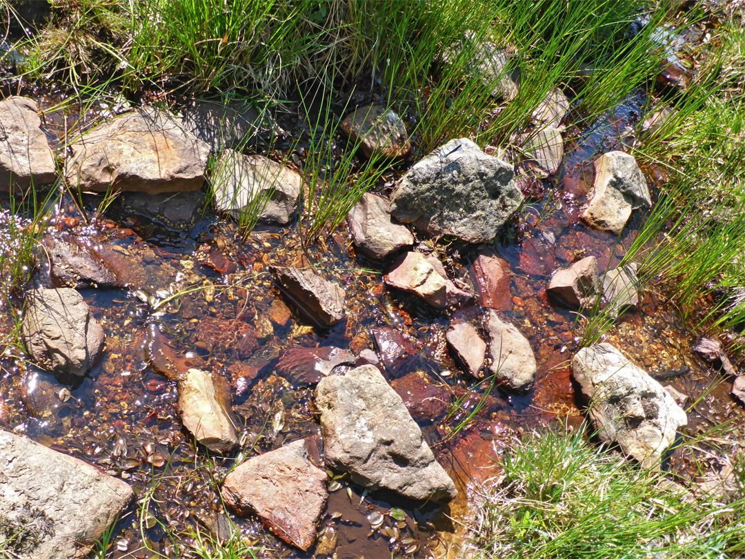 Stony pool