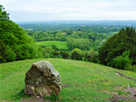 Ashford Hangers National Nature Reserve