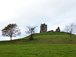 Burrow Mump