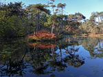 Bystock Pools