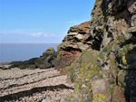 Portishead Coast