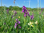 Clarke's Pool Nature Reserve