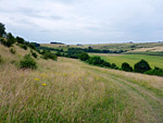 Coombe Bissett Down