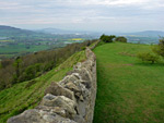 Crickley Hill Nature Reserve