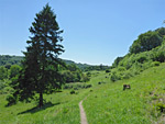 Daneway Banks