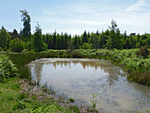 Edgehills Bog