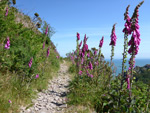 Heddon Valley to Sherrycombe