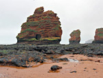 Sidmouth to Ladram Bay