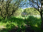 Kenfig National Nature Reserve