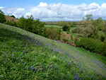 Ketford Bank Nature Reserve