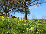 Ketford Bank Nature Reserve