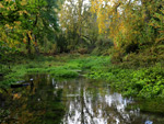 Letcombe Valley Nature Reserve