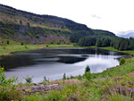 Llyn Fach Nature Reserve