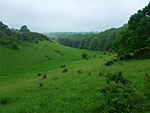 Middleton Down