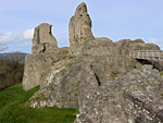 Montgomery Castle