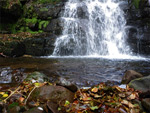 Nant Cynafon and Waen Rydd