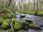 Blackadon Nature Reserve