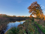 Greywell Moors Nature Reserve