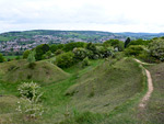 Selsley Common