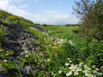 Severn Beach to Avonmouth