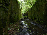 Sapperton Valley Nature Reserve