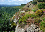 Teign Gorge