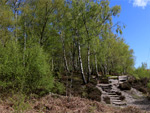 Snelsmore Common Country Park