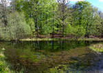 Sole Common Pond Nature Reserve