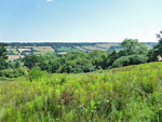 The Rough Nature Reserve