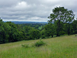 Tor Hole Fields