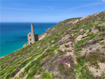 Wheal Coates