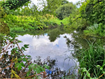 >Moor Copse Nature Reserve